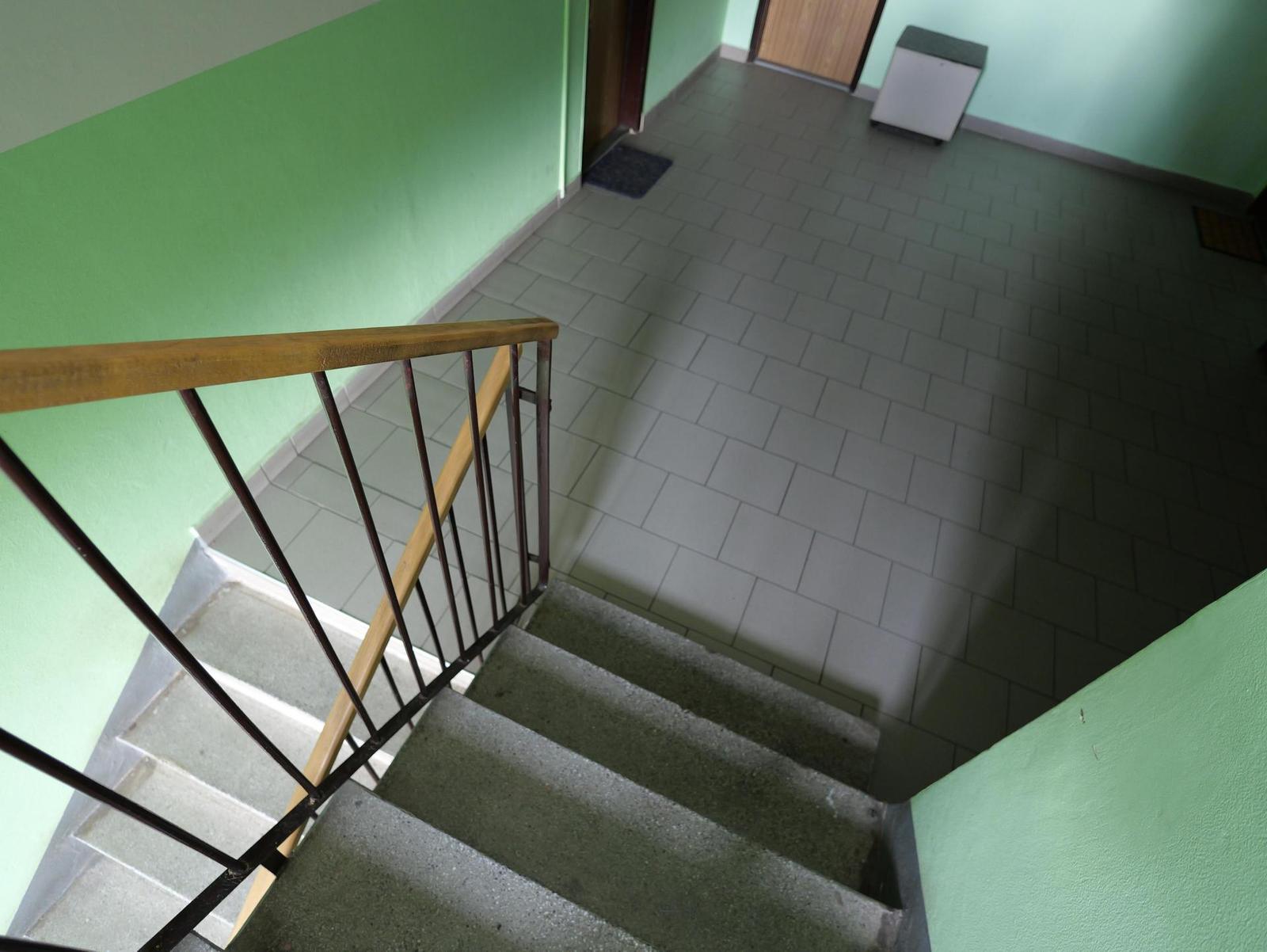 Panasonic Leica Summilux DG 9mm f/1.7 ASPH.