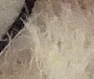 Sony A7R II (ILCE-7RM2): detaily na druhou