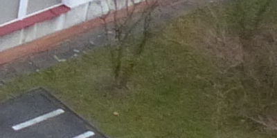 Panasonic Lumix FZ200: ultrazoomové překvapení roku