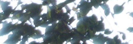 Sony Cyber-shot RX100 III (RX100M3): superSony