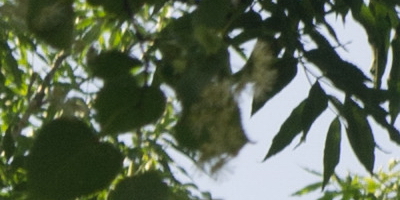 Helios-44M 58mm F2.0 (M42)