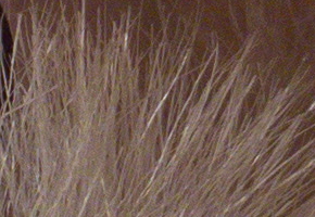 Samsung EX2F: významný krok vpřed