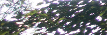 Sony Cyber-shot RX100 III (RX100M3): superSony