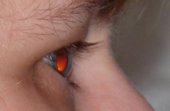 Panasonic Lumix FZ28: o krok blíže dokonalosti