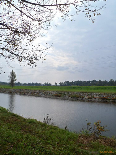 Samsung PL210: levně s grácií