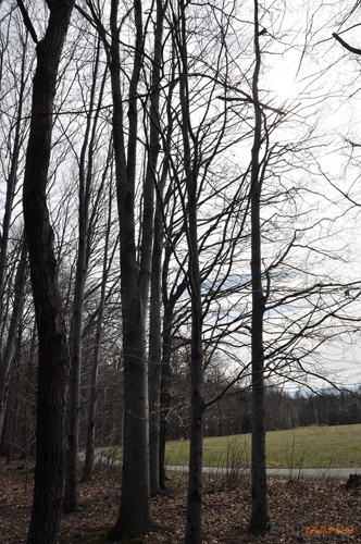 Postačí setový objektiv? Nikon vs. Sigma a Tamron