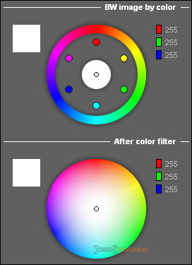 nama5: švýcarský nůž na RAW ze Slovenska