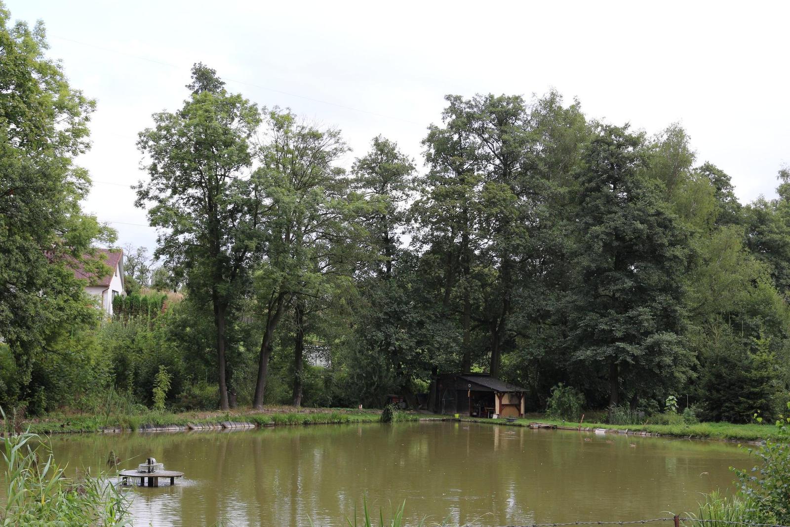 Canon EOS 700D: dotykový hybrid