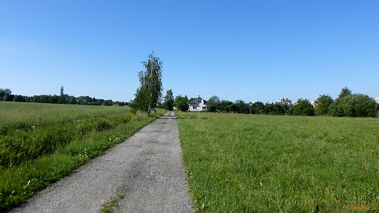 Panasonic Lumix TZ30: pokračovatel slavného rodu?