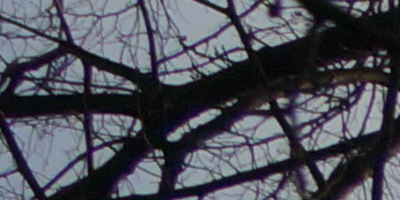 Sony SAL-18250 (DT 18-250mm F3,5-6,3)