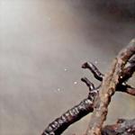 Minolta DiMAGE Dual Scan III: Profík za amatérskou cenu!