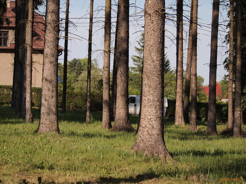 Olympus M.Zuiko Digital 40-150 mm F4-5,6 + nová R verze