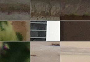 Nikon Coolpix B700: přírodovědec