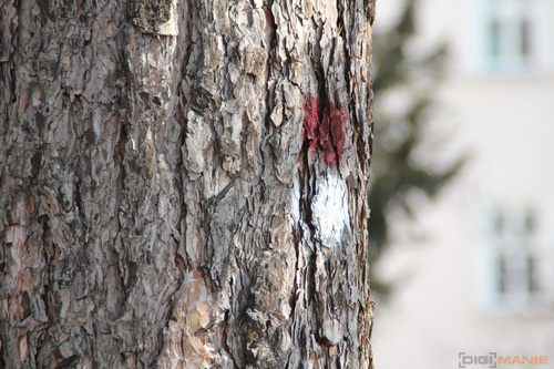 Megatest ultrazoomových objektivů