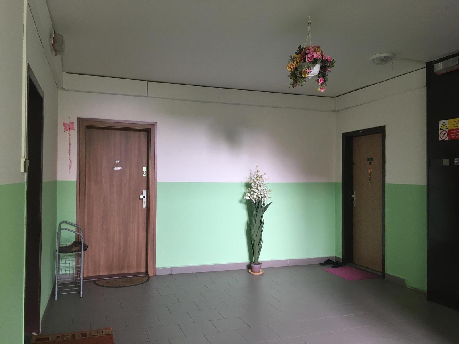 Apple iPhone SE: kompaktní silák