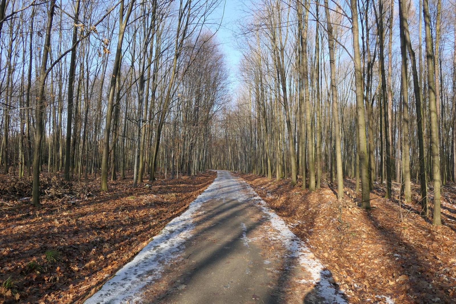 Panasonic Lumix FZ2000: ultrazoom nebo profi kamera?