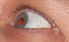 Nikon Coolpix P80: ultrazoom plný protikladů