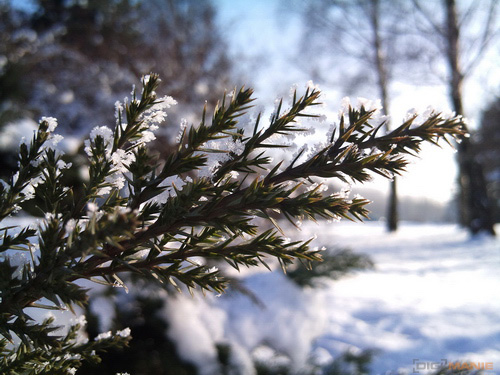 Sony Ericsson Xperia X10: fotící elegán