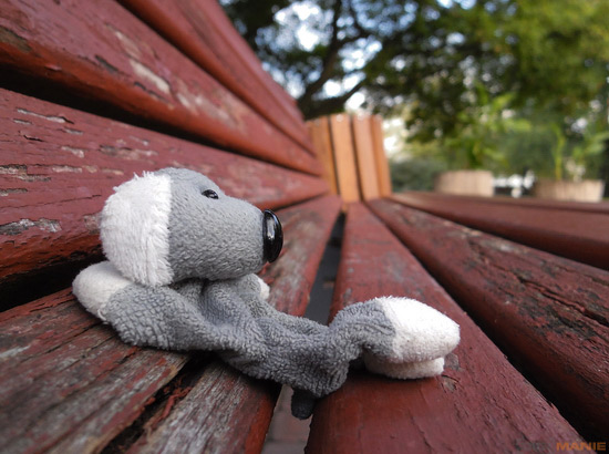 Fotíme s Koalou: Zvířátka