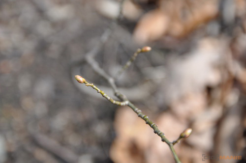 Postačí setový objektiv? Nikon vs. Sigma a Tamron