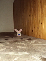 Fotomobily: technologie blesků