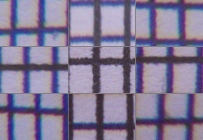 Canon PowerShot SX50 HS: překvapivá kombinace