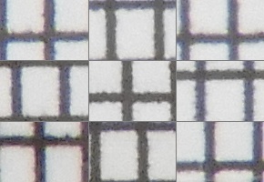 Nikon Coolpix B700: přírodovědec