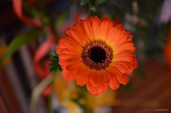 Nikon D600: vynikající vstup do světa full frame