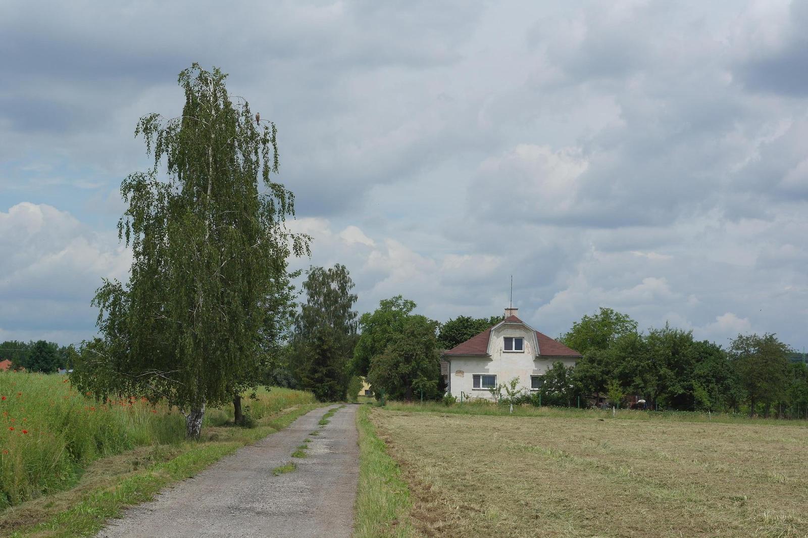 Carl Zeiss Jena DDR Pancolar 1,8/50mm MC electric (M42)