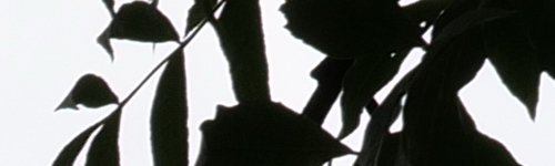 Panasonic Lumix S Pro 70-200mm F4 O.I.S.