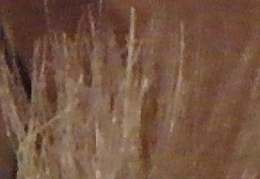 Samsung NX20: za více peněz více muziky