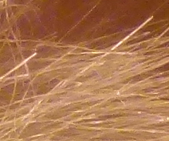 Panasonic Lumix FZ45 a FZ100: na vrcholu