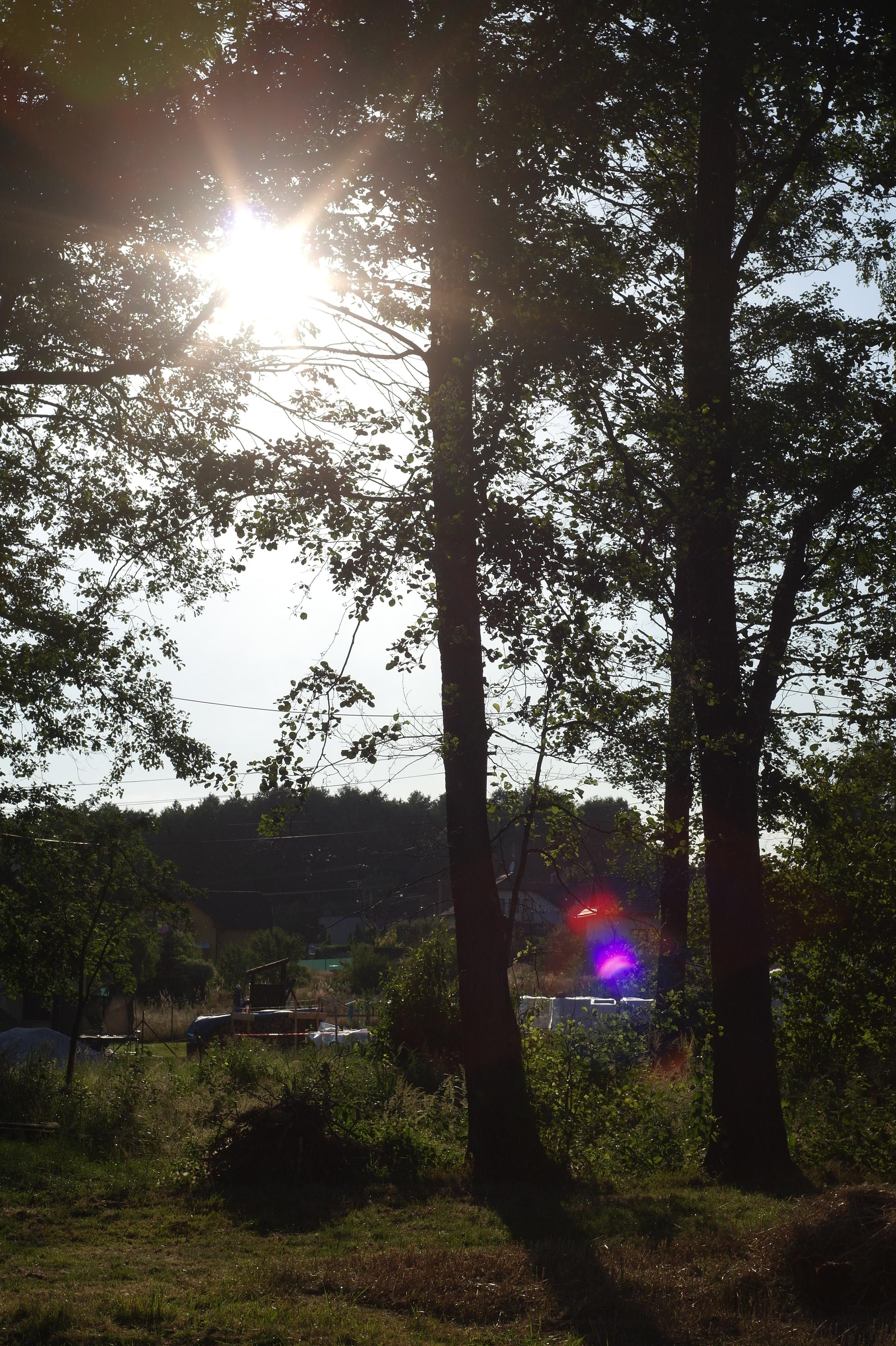 Minolta MC Rokkor-PF 50mm F1.7 (MC/MD)