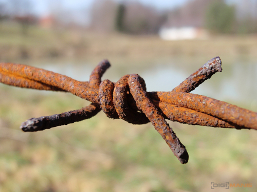 Olympus mju 9000: 10× ultrazoom v kompaktním balení