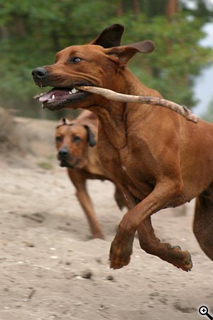 Úpravy fotografií v PC, 1.díl - obecně