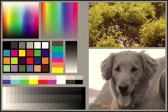 Metodika testování termosublimačních fototiskáren