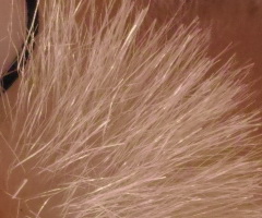 Sigma DP2: otestovali jsme Foveon!