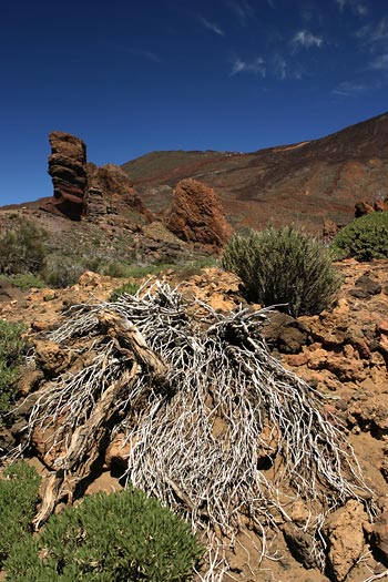 Tipy a Triky nejen pro začátečníky, díl 8. - Lze nahradit barevné a jiné filtry softwarově?