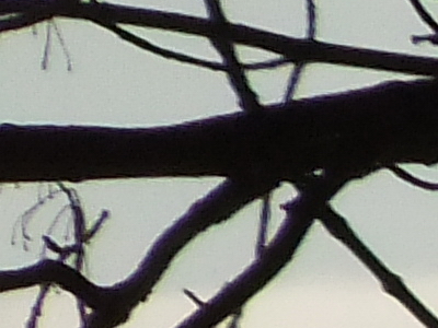 Fujifilm FinePix F300EXR: klame tělem