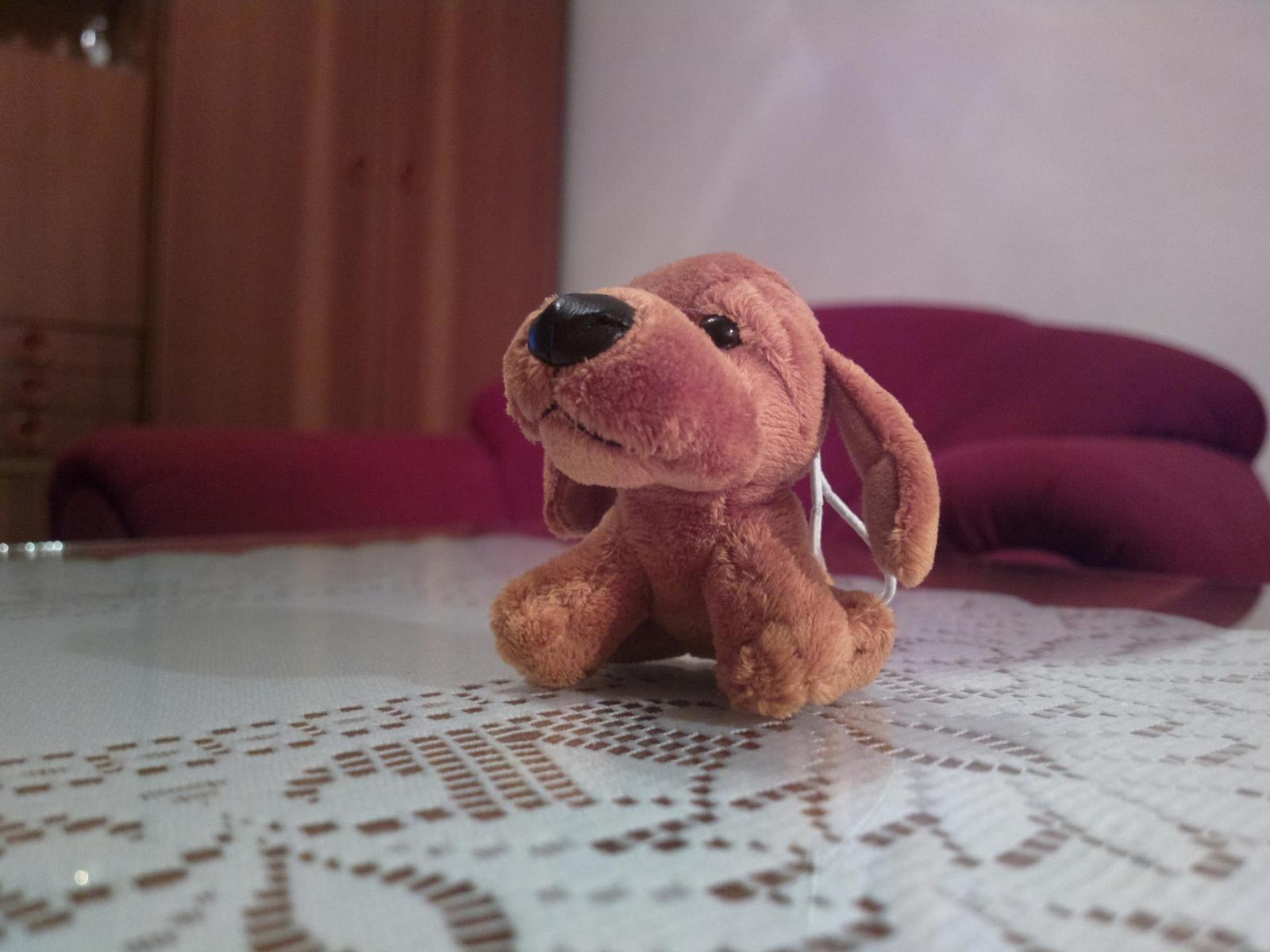 Nokia Lumia 1020 vs. 808 PureView