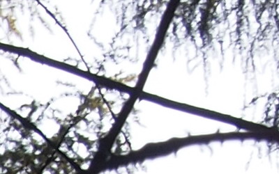 Olympus M.Zuiko Digital 14-150 mm F4-5,6