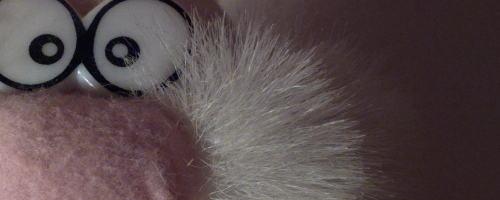 Nokia 808 PureView: mobilní zrcadlovkobijec