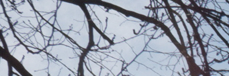 Panasonic Lumix LX100: pozoruhodný profi kompakt