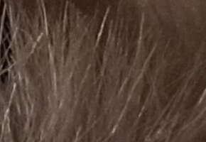 Sony SLT-A77: megapixelový přeborník