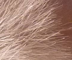 Panasonic Lumix TZ7: ultrazoom téměř bez chybičky