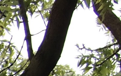 Olympus M.Zuiko Digital 40-150 mm F4-5,6 + nová R verze