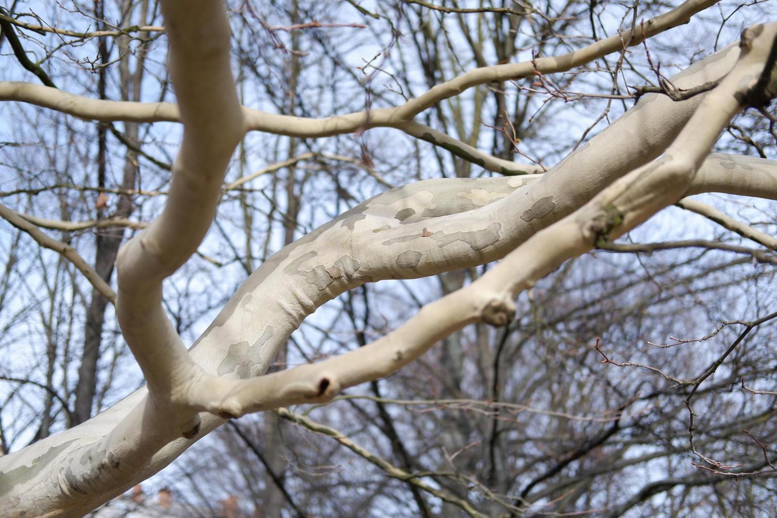 Fujinon XF 35mm F2 R WR