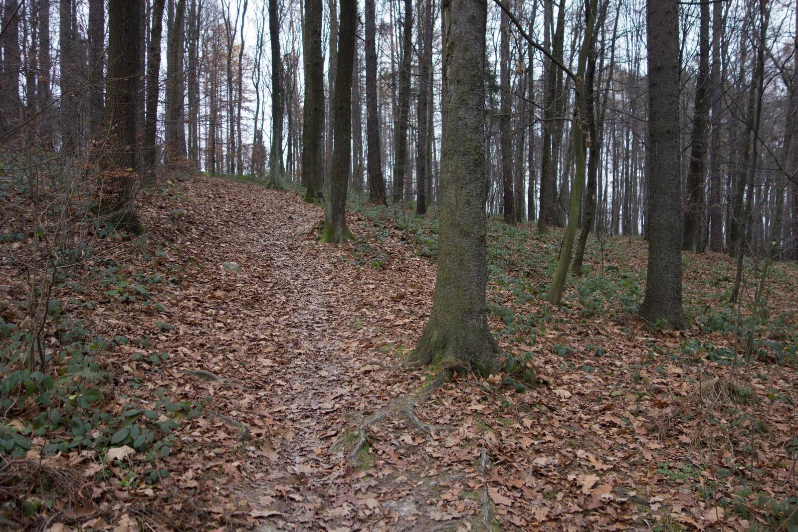 DSLR vs kompakt: Canon EOS 1200D s 18-55mm, Sony RX100