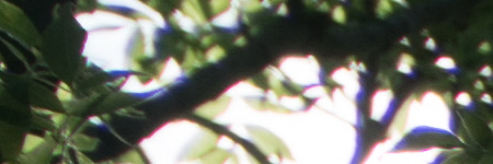 Sony E PZ 18-105mm F4 G OSS (SELP18105G)