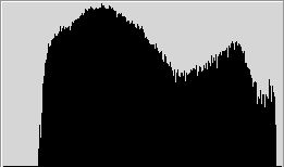 Úpravy digitální fotografie III: Úrovně